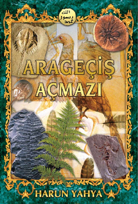 Arageçiş açmazı